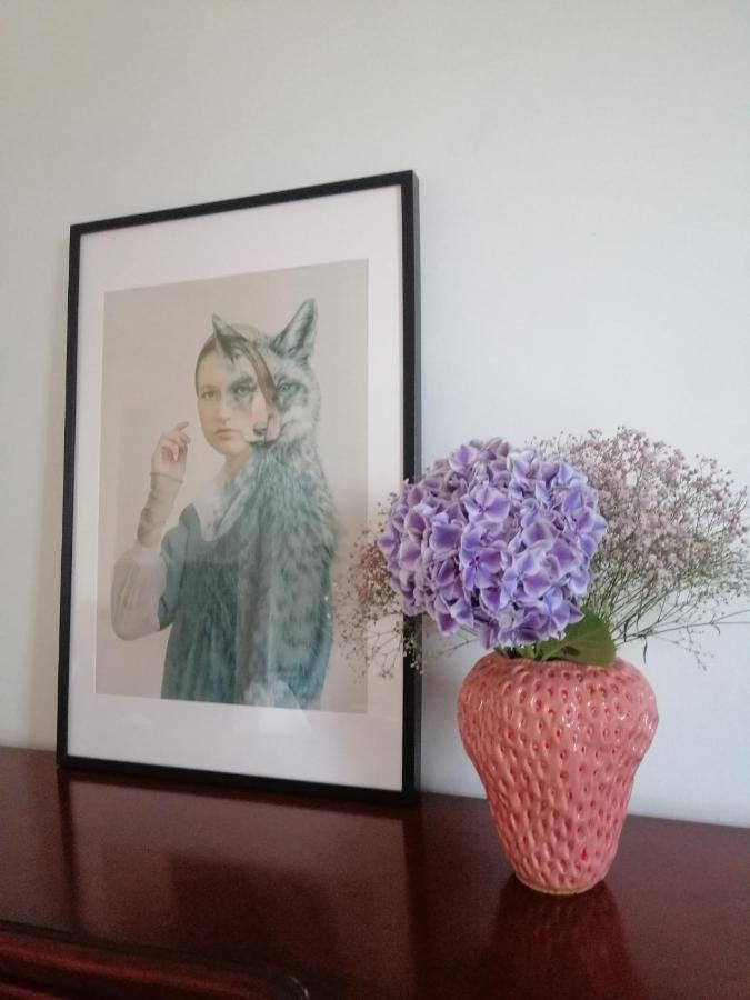 Large Apartment 800M From The Beach 90 Square Meters オステンド エクステリア 写真